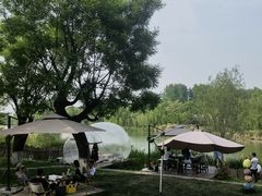 -Supine Bistro溯泮餐厅