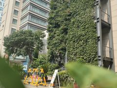 -皇家御河游(紫御湾码头)