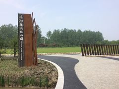 -溱湖国家湿地公园