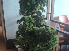 -百富源·海鲜辽菜(张士店)