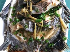 多宝鱼-四川小胡子海鲜(丁村万人海鲜广场店)