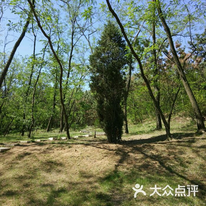 炮臺山公園