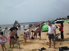 -日照海滨国家森林公园