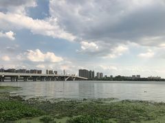 -蠡湖大桥公园