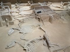 -洛阳周王城天子驾六博物馆