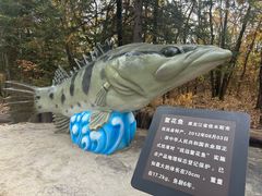 -茅兰沟国家森林公园