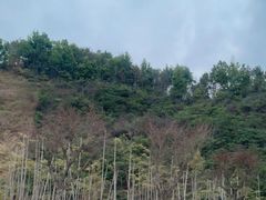 -马口生态公园