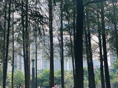 -四海公园(南山区)
