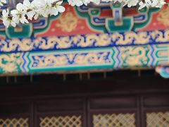 -护国法轮寺