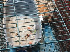 -海派铜锣湾(打浦路店)