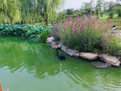 -燕郊植物园