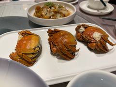 -悦来轩顺德菜(寮厦店)