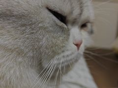 -联合动物医院(光谷诊疗中心)