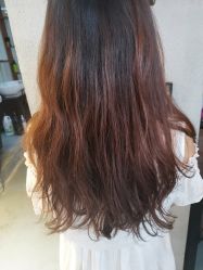 -Z.F私人订制