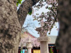 -天津大悲禅院