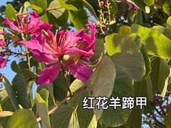 -云洞岩风景区