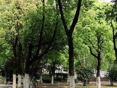 -合肥野生动物园