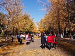 -辽宁大学(崇山校区)