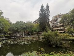 -垂虹公园
