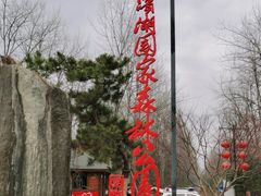 -合肥滨湖国家森林公园