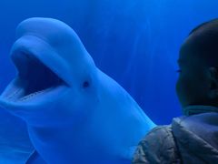 -多彩贵州城极地海洋世界