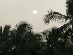 -万绿园