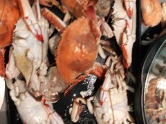 蒸汽海鲜-乔哥铭洋海鲜自助(皇城恒隆广场店)