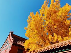 -故宫博物院(故宫)