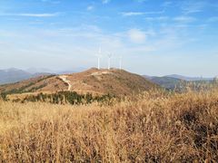 -东白山