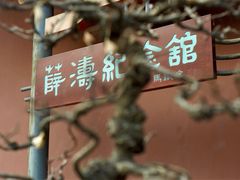 -望江楼公园