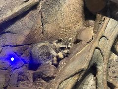 -哈尔滨波塞冬海底世界