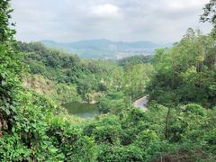 -火炉山森林公园