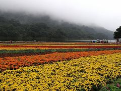 -广州市石门国家森林公园