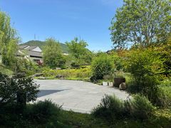 -春色如许·茶食餐厅(桃李春风店)