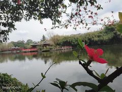 -棠湖公园