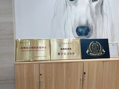 -美联众合动物医院·24h转诊中心