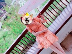 -水西公园