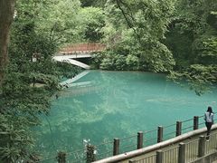 -浙江大学(之江校区)