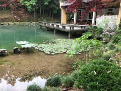 -灵栖洞天