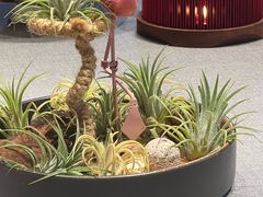 -虹御轩·传承江浙菜(虹桥店)