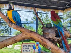 -西霞口神雕山野生动物世界