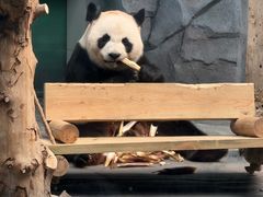 -秦皇岛野生动物园
