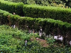 -青岛中山公园-索道售票处