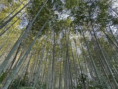 -千泷沟大瀑布旅游区