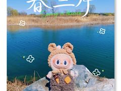 -南海子公园