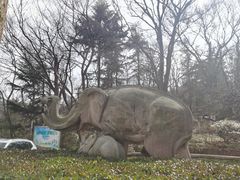-青岛电视塔