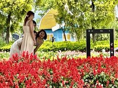 -广东花都香草世界旅游度假区