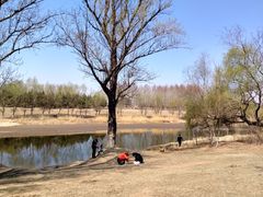 -蒲河岛湿地公园