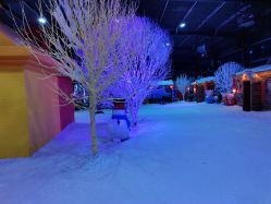 -圣名游乐城冰雪大世界