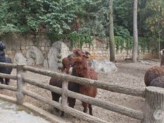-昆明动物园